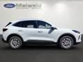 Ford Kuga Hybrid Titanium 2.5 Duratec FHEV EU6d Allrad Navi Weiß - thumbnail 2