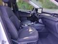 Ford Kuga Hybrid Titanium 2.5 Duratec FHEV EU6d Allrad Navi Weiß - thumbnail 13