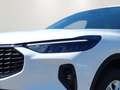 Ford Kuga Hybrid Titanium 2.5 Duratec FHEV EU6d Allrad Navi Weiß - thumbnail 4