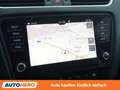 Skoda Octavia 2.0 TDI RS Grau - thumbnail 21