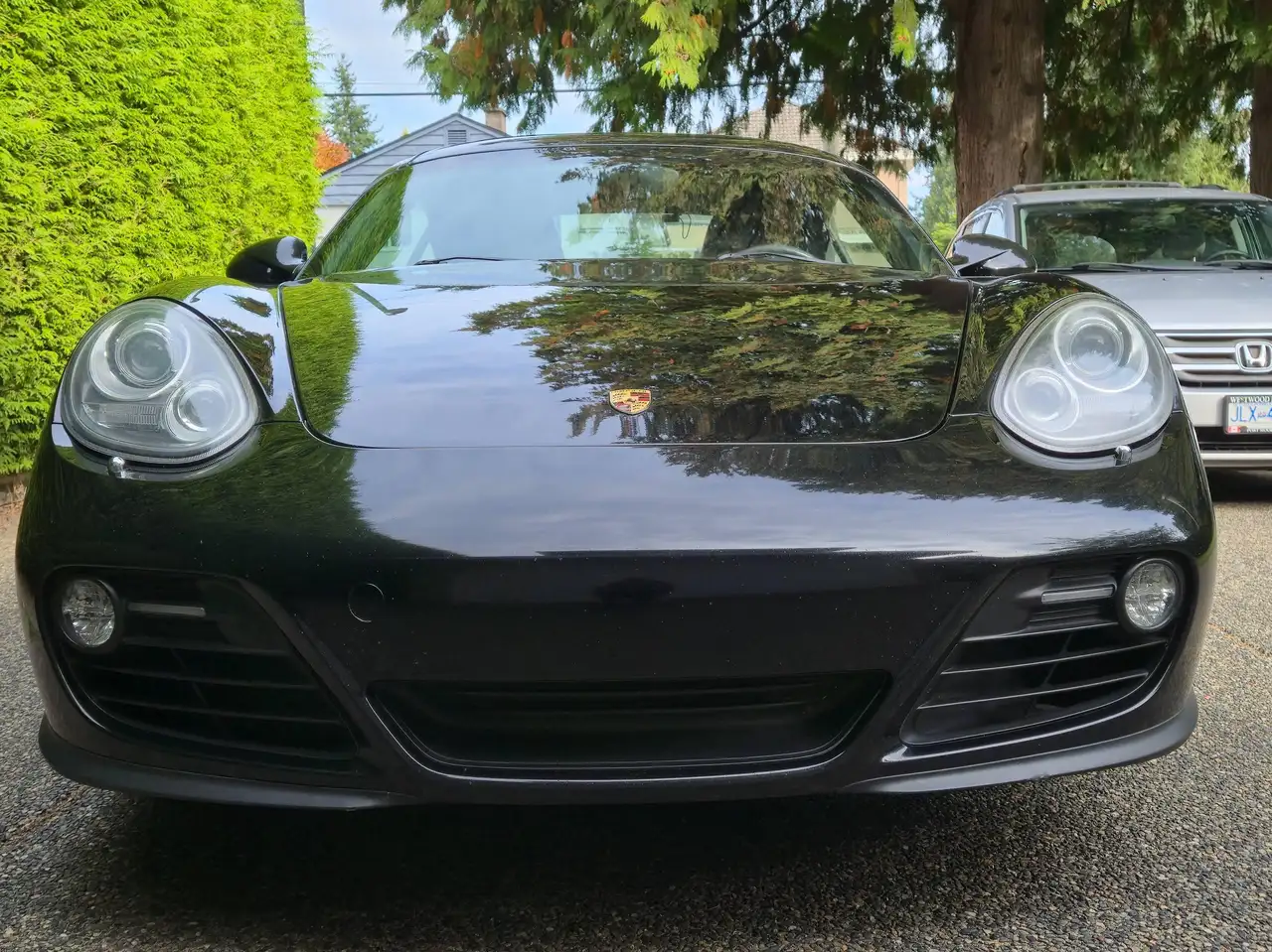 Porsche Cayman photo Porsche Cayman