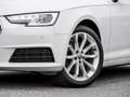 Audi A4 Avant 40 TFSI AHK Xenon+ CarPlay Privacy 18" White - thumbnail 5