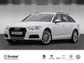 Audi A4 Avant 40 TFSI AHK Xenon+ CarPlay Privacy 18" White - thumbnail 1
