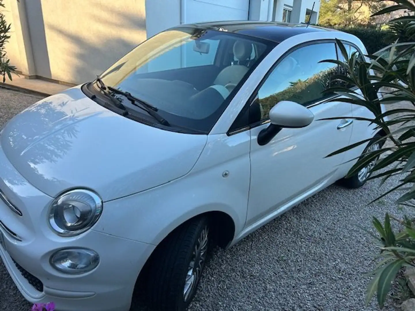 Fiat 500 500 1.2 Collezione Collezione Blanco - 2