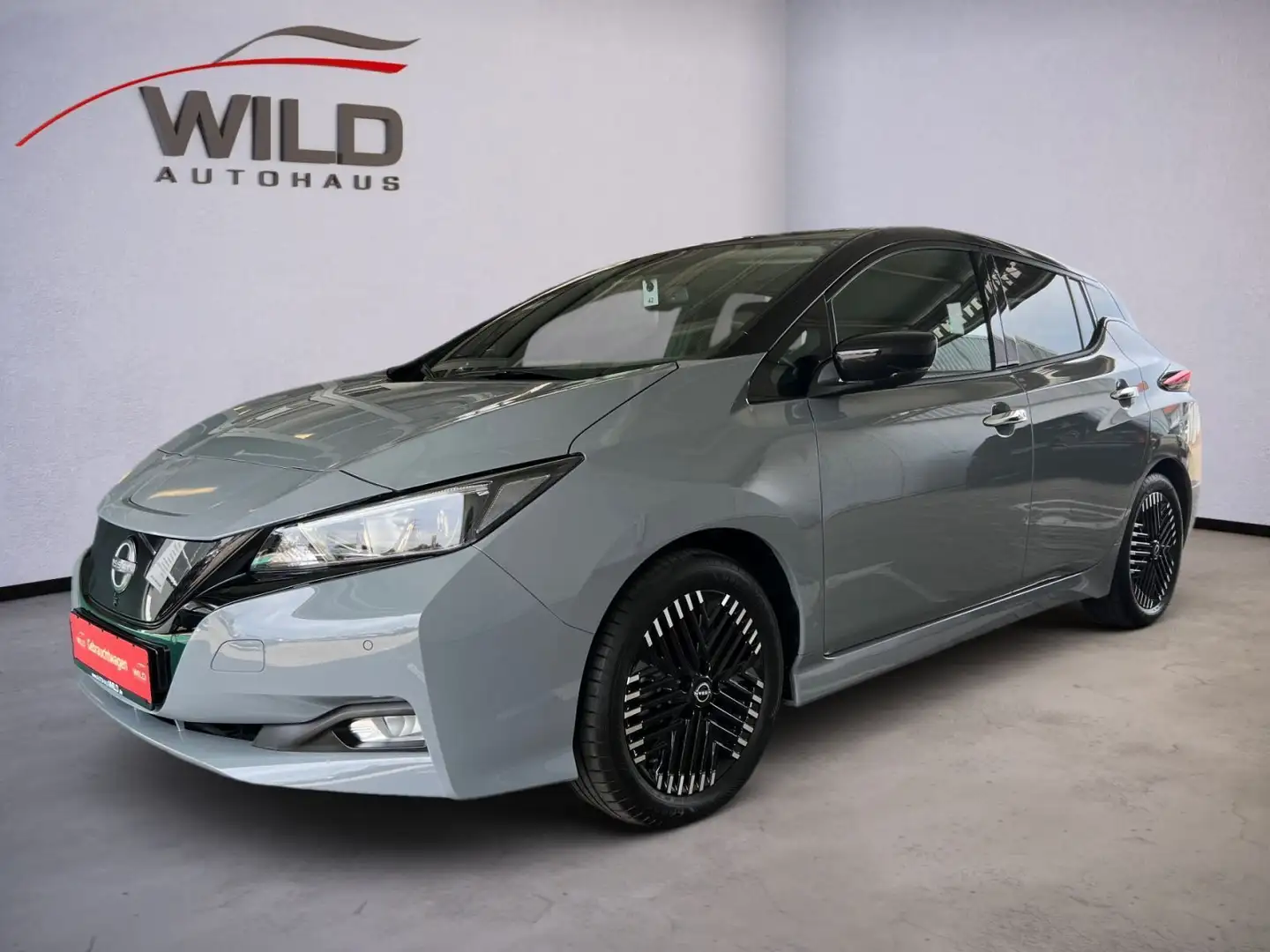 Nissan Leaf 40 kWh N-Connecta WKR Winter-Paket SOH 96% Grau - 2