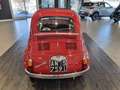 Fiat 500 Nuova 500 D targhe originali "targa oro" Red - thumbnail 5