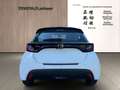 Toyota Yaris 1.5 Business Edition +FLA+SpurH+KlimaA+ACC Weiß - thumbnail 6