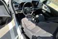 Suzuki Swift Swift 1.2 Hybrid CVT Top Bianco - thumbnail 12