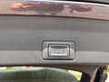 CUPRA Terramar 1.5 eTSI 110 kW (150 PS) 7-Gang-DSG Paars - thumbnail 8