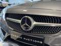 Mercedes-Benz C 250 C 250 Cabrio 9G-TRONIC AMG Line Argent - thumbnail 13
