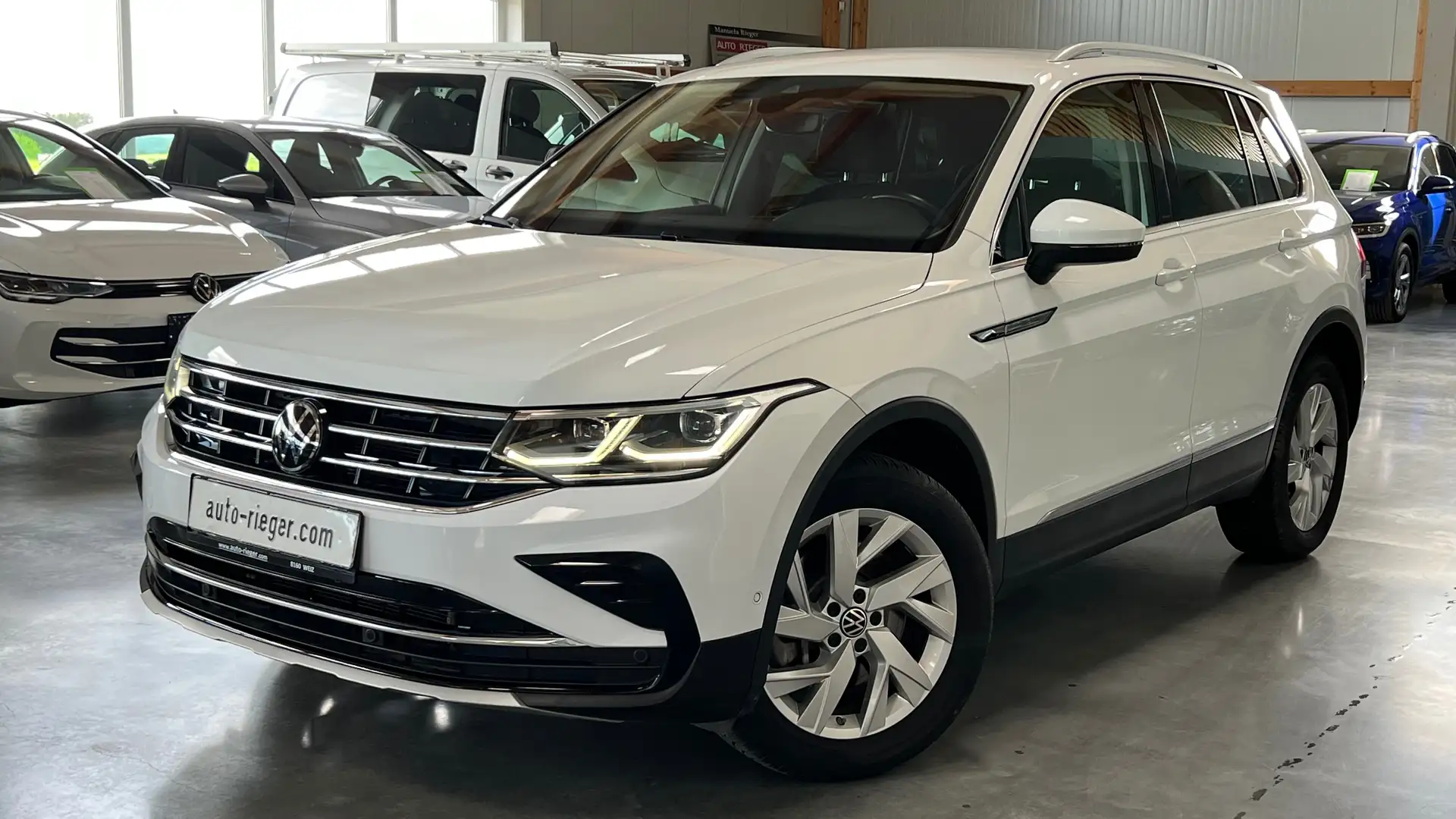 Volkswagen Tiguan Elegance 4Motion TDI DSG, IQ-Light, AHK, Kamera Weiß - 2