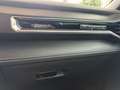 Ford Mustang Fastback 5.0 Ti-VCT V8 328 GT/Sofort Rot - thumbnail 20