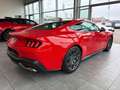 Ford Mustang Fastback 5.0 Ti-VCT V8 328 GT/Sofort Rouge - thumbnail 8