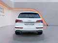 Audi Q5 advanced 40 TDI quattro S tronic NAVI / EPH / K Weiß - thumbnail 4