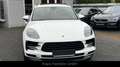 Porsche Macan Navi/Kamera/Luft/Panorama/FACELIFT Weiß - thumbnail 3