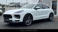 Porsche Macan Navi/Kamera/Luft/Panorama/FACELIFT Weiß - thumbnail 4