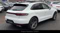 Porsche Macan Navi/Kamera/Luft/Panorama/FACELIFT Weiß - thumbnail 7