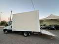 Iveco Daily 35C16H BTor 3.0 HPT PEDANA 1000KG Blanc - thumbnail 4