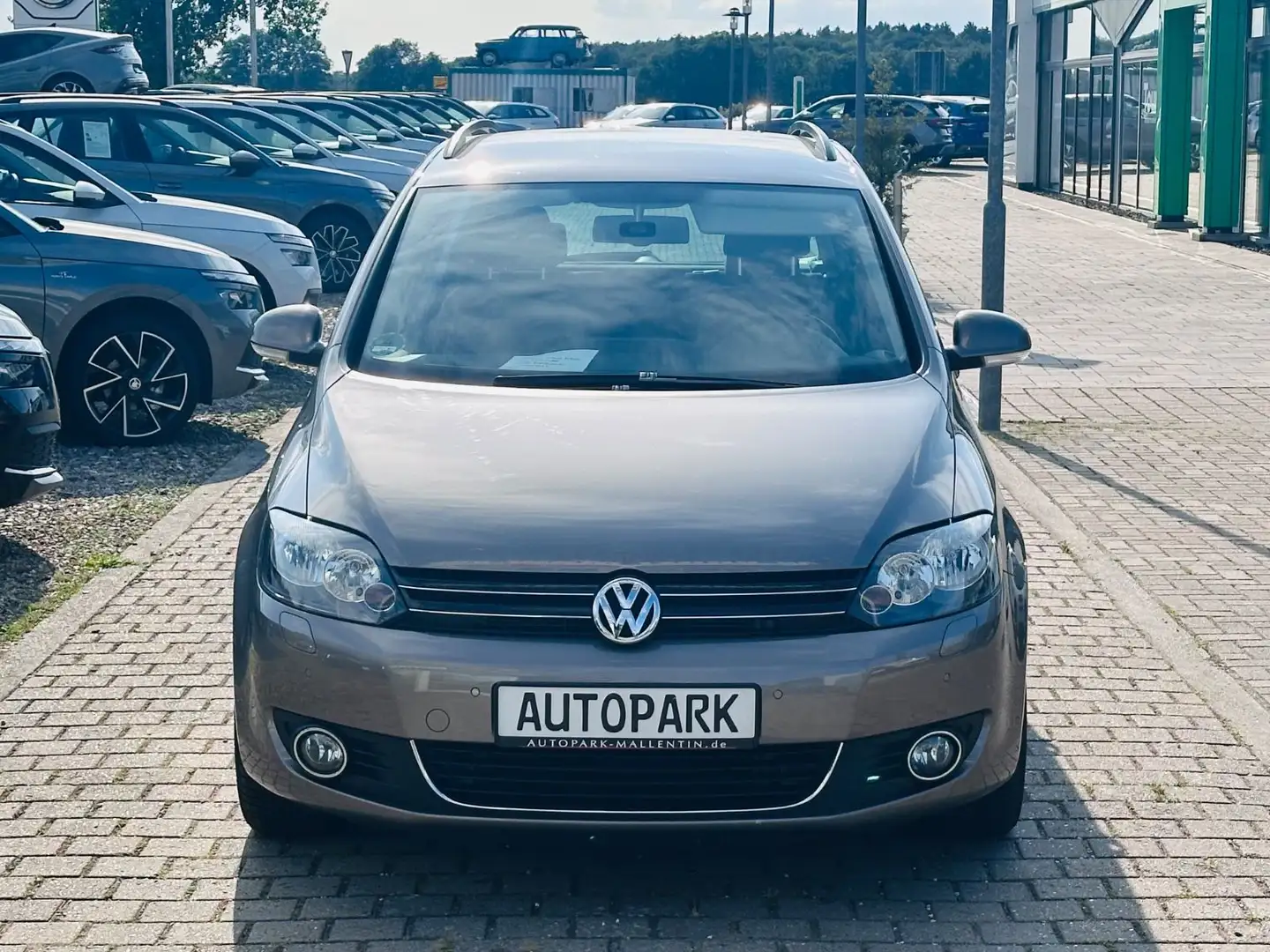 Volkswagen Golf Plus VI Life *ERST 50 TKM*SHZ*ALLWETTER*PDC Brun - 2
