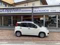 Fiat Panda 1.3 MJT 16v 75 cv Easy Bianco - thumbnail 1