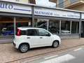Fiat Panda 1.3 MJT 16v 75 cv Easy Bianco - thumbnail 2