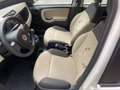 Fiat Panda 1.3 MJT 16v 75 cv Easy Bianco - thumbnail 11