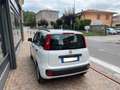 Fiat Panda 1.3 MJT 16v 75 cv Easy Bianco - thumbnail 5