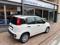Fiat Panda 1.3 MJT 16v 75 cv Easy Bianco - thumbnail 3