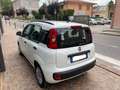 Fiat Panda 1.3 MJT 16v 75 cv Easy Bianco - thumbnail 9