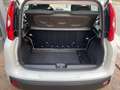 Fiat Panda 1.3 MJT 16v 75 cv Easy Bianco - thumbnail 10