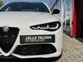 Alfa Romeo Giulia 2.0 T GME AWD Veloce | 19" Velgen | Panoramadak | Wit - thumbnail 11