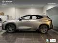 Lexus NX 350h Executive 2WD Silber - thumbnail 13