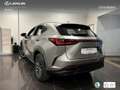 Lexus NX 350h Executive 2WD Silber - thumbnail 14
