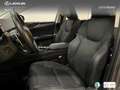 Lexus NX 350h Executive 2WD Silber - thumbnail 15
