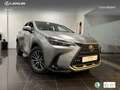 Lexus NX 350h Executive 2WD Silber - thumbnail 12