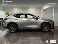 Lexus NX 350h Executive 2WD Silber - thumbnail 3