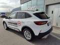 Ford Kuga 2,5 Duratec FHEV Active X Aut. Bianco - thumbnail 3