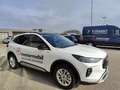 Ford Kuga 2,5 Duratec FHEV Active X Aut. Bianco - thumbnail 7