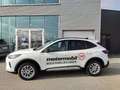 Ford Kuga 2,5 Duratec FHEV Active X Aut. Bianco - thumbnail 2