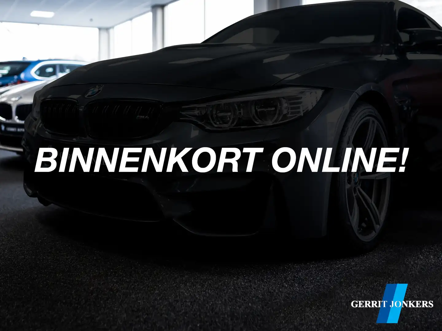 BMW M4 4-serie Coupé | Milltek uitlaat Grijs - 1