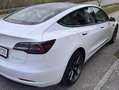 Tesla Model 3 Model 3 Long Range AWD 75kWh Weiß - thumbnail 16