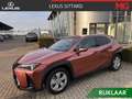 Lexus UX 300h 35th Edition Braun - thumbnail 1