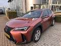 Lexus UX 300h 35th Edition Braun - thumbnail 2