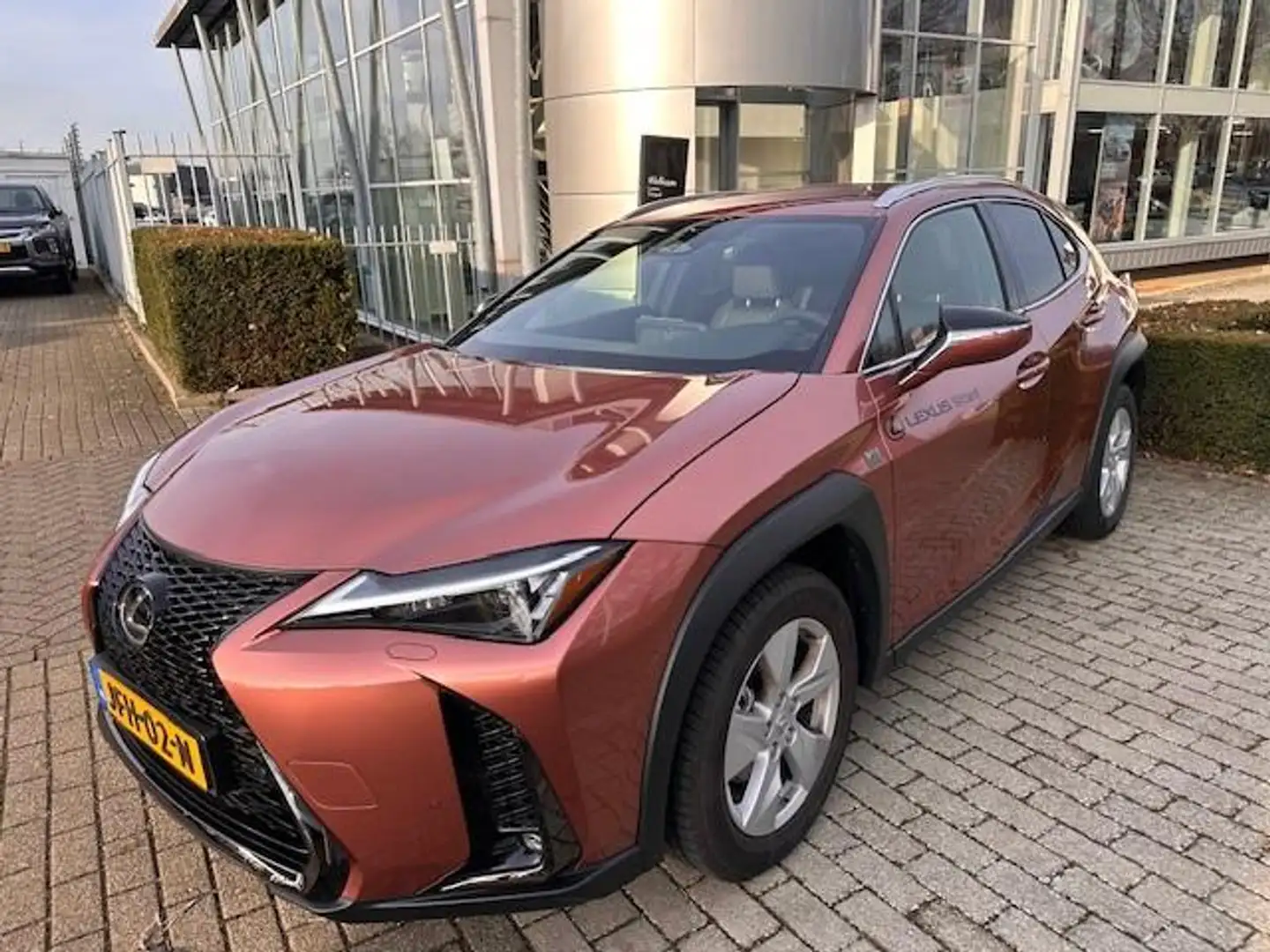 Lexus UX 300h 35th Edition Braun - 2