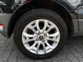 Ford EcoSport Titanium = Automatik - KeyLess - Tempom Schwarz - thumbnail 8