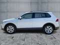 Volkswagen Tiguan 2.0 TDI DSG 4M LIFE LED+NAVI+AHK+ACC+SHZ Bianco - thumbnail 4