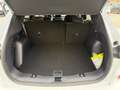 Ford Kuga Kuga 2.0 ecoblue ST-Line awd 150cv auto Bianco - thumbnail 11