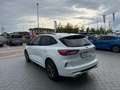 Ford Kuga Kuga 2.0 ecoblue ST-Line awd 150cv auto Bianco - thumbnail 3