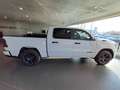 RAM 1500 TRADESMAN 3.0 L SST 420HP - AUTOCARRO DETRAIBILE Bianco - thumbnail 6