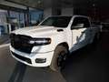 RAM 1500 TRADESMAN 3.0 L SST 420HP - AUTOCARRO DETRAIBILE Bianco - thumbnail 1
